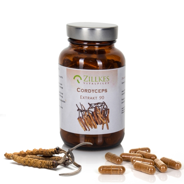 Cordyceps sinensis Extrakt 90 Kapseln Extrakt mit Pilzen und Kapseln